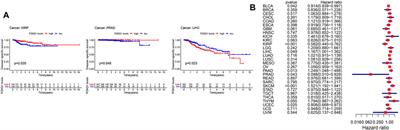 Pan-cancer analysis of forkhead box Q1 as a potential prognostic and immunological biomarker